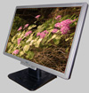 LCD Display 19''